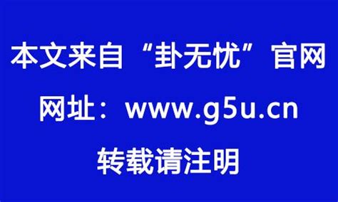 2024是火年吗|未来20年（2024~2043）：离火九运